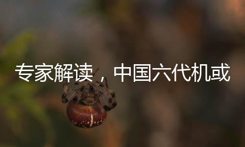 專家解讀，中國六代機或?qū)⒏鎰e狗斗時代