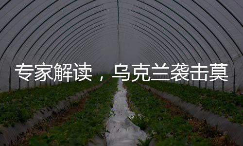 專家解讀，烏克蘭襲擊莫斯科背后的深層動機——尋求美國援助