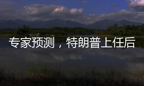 專家預(yù)測，特朗普上任后將遭遇多重阻力