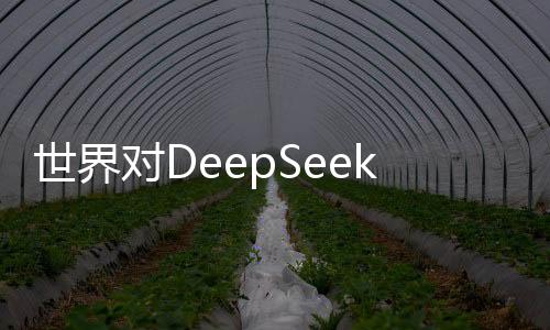 世界對DeepSeek的驚嘆持續(xù)不止——引領(lǐng)科技前沿的深度學(xué)習(xí)新里程碑