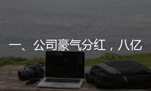 一、公司豪氣分紅，八億獎(jiǎng)金花落誰家？