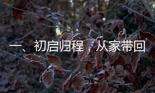 一、初啟歸程，從家?guī)Щ?0斤年貨喜悅迎新春