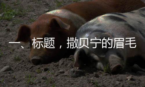 一、標(biāo)題，撒貝寧的眉毛，焦點(diǎn)之下的藝術(shù)之美