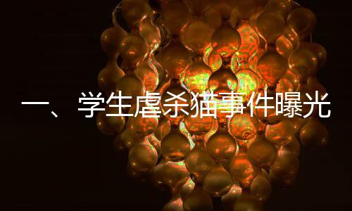 一、學(xué)生虐殺貓事件曝光，引發(fā)社會廣泛關(guān)注