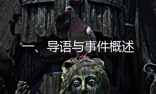 一、導語與事件概述