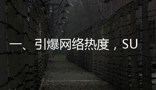 一、引爆網(wǎng)絡(luò)熱度，SU7 Ultra車主交付視頻席卷全網(wǎng)