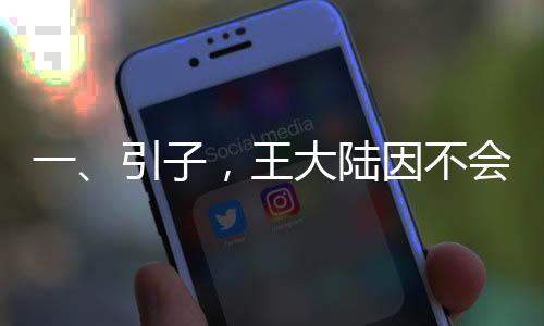 一、引子，王大陸因不會(huì)開特斯拉車門捶窗事件引發(fā)關(guān)注