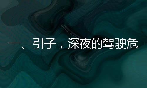 一、引子，深夜的駕駛危機，時間考驗人生選擇