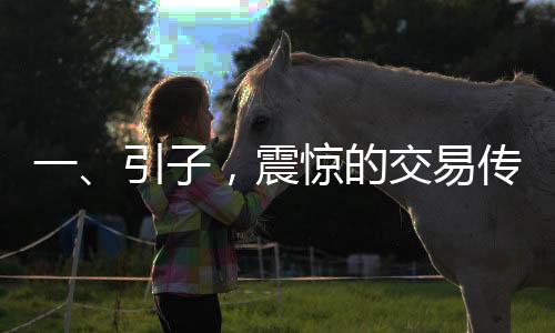 一、引子，震驚的交易傳聞