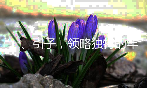 一、引子，領(lǐng)略獨特的年味體驗與總書記一同品味