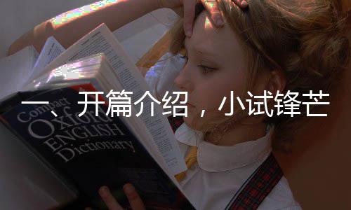 一、開篇介紹，小試鋒芒，邁向汽車行業(yè)新紀(jì)元