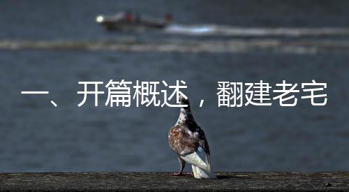 一、開篇概述，翻建老宅，堂兄弟七人共筑家園情懷