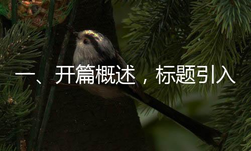 一、開篇概述，標(biāo)題引入時代之新曲