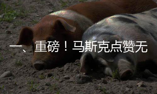 一、重磅！馬斯克點(diǎn)贊無(wú)錫拈花灣迎新年視頻