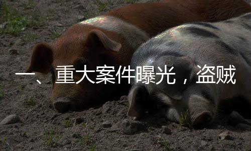 一、重大案件曝光，盜賊偷走價值4397萬金馬桶