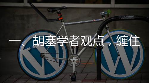 一、胡塞學(xué)者觀點(diǎn)，纏住美航母即勝利之象征