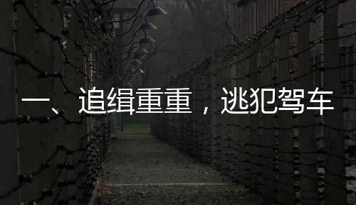 一、追緝重重，逃犯駕車沖撞民警事件揭秘