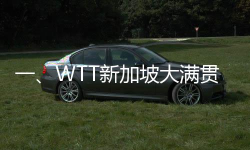 一、WTT新加坡大滿貫，賽場風云再掀熱潮