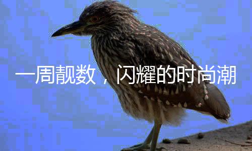 一周靚數(shù)，閃耀的時(shí)尚潮流與生活亮點(diǎn)