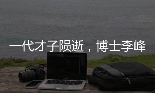 一代才子隕逝，博士李峰不幸辭世，留下無限惋惜與思考