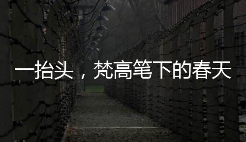 一抬頭，梵高筆下的春天躍然眼前