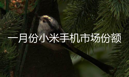 一月份小米手機(jī)市場(chǎng)份額位居中國(guó)第二，展現(xiàn)強(qiáng)勁競(jìng)爭(zhēng)力