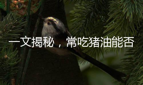 一文揭秘，常吃豬油能否治百??？真相并不簡單