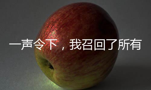一聲令下，我召回了所有穿越者