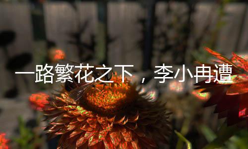一路繁花之下，李小冉遭遇網(wǎng)友審判風(fēng)波