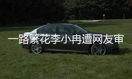 一路繁花李小冉遭網(wǎng)友審判，引發(fā)深度思考與網(wǎng)絡(luò)言論的反思
