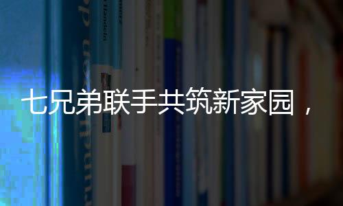 七兄弟聯(lián)手共筑新家園，重建宅基地，重塑親情墻