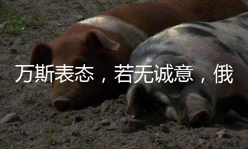 萬斯表態(tài)，若無誠意，俄方或?qū)⒚媾R制裁