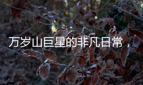萬(wàn)歲山巨星的非凡日常，演員睡巨無(wú)霸大床，穿超大鞋碼揭秘