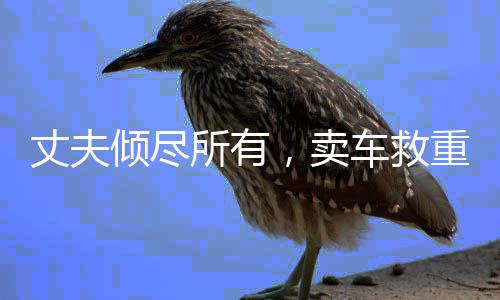 丈夫傾盡所有，賣車救重病妻子，愛情的力量與生命的堅(jiān)守