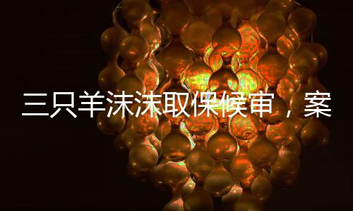 三只羊沫沫取保候?qū)?，案件?xì)節(jié)與法律程序解析