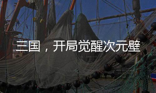 三國，開局覺醒次元壁