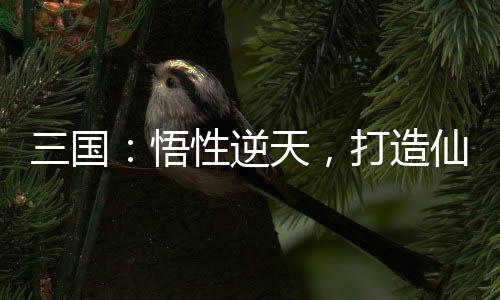 三國(guó)：悟性逆天，打造仙秦帝國(guó)