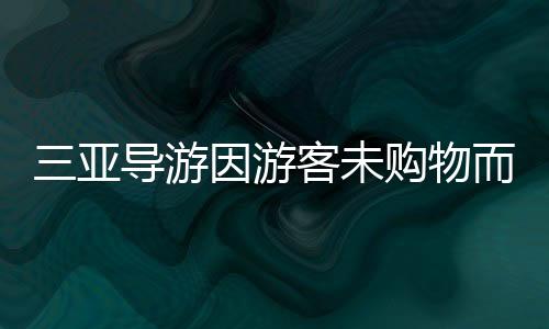 三亞導(dǎo)游因游客未購物而破口大罵？舊聞回顧