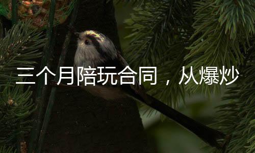 三個(gè)月陪玩合同，從爆炒楊密開始