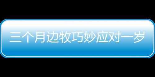 三個(gè)月邊牧巧妙應(yīng)對(duì)一歲德牧行為，引發(fā)關(guān)注——一場關(guān)于寵物互動(dòng)的探討