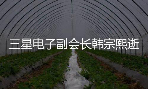 三星電子副會長韓宗熙逝世，緬懷一位杰出的商業(yè)領(lǐng)袖