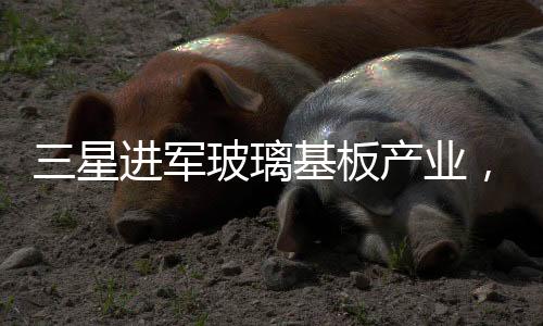 三星進軍玻璃基板產(chǎn)業(yè)，積極布局，開啟新篇章
