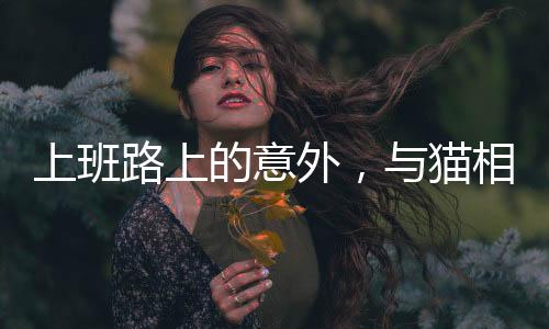 上班路上的意外，與貓相撞導(dǎo)致骨折
