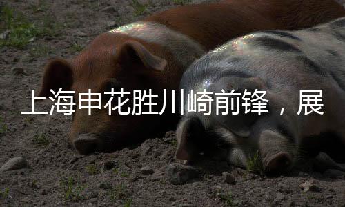 上海申花勝川崎前鋒，展現(xiàn)中國足球力量——一場震撼的賽事紀(jì)實(shí)