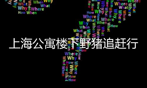 上海公寓樓下野豬追趕行人事件引發(fā)社會(huì)關(guān)注