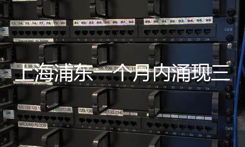 上海浦東一個(gè)月內(nèi)涌現(xiàn)三大樂(lè)透大獎(jiǎng)，幸運(yùn)兒收獲巨額驚喜