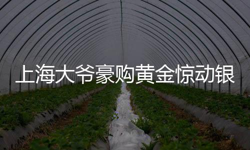 上海大爺豪購黃金驚動銀行，背后故事揭秘