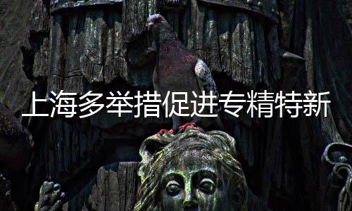 上海多舉措促進(jìn)專精特新中小企業(yè)發(fā)展壯大  大模型等加速其成長(zhǎng)