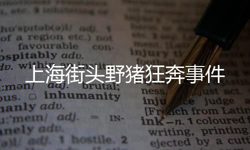 上海街頭野豬狂奔事件