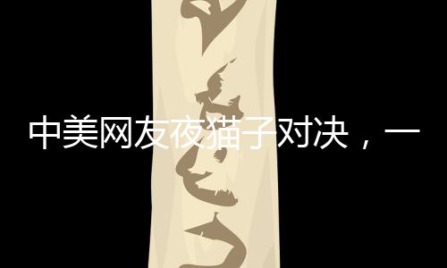 中美網(wǎng)友夜貓子對(duì)決，一夜的經(jīng)濟(jì)辯論分析